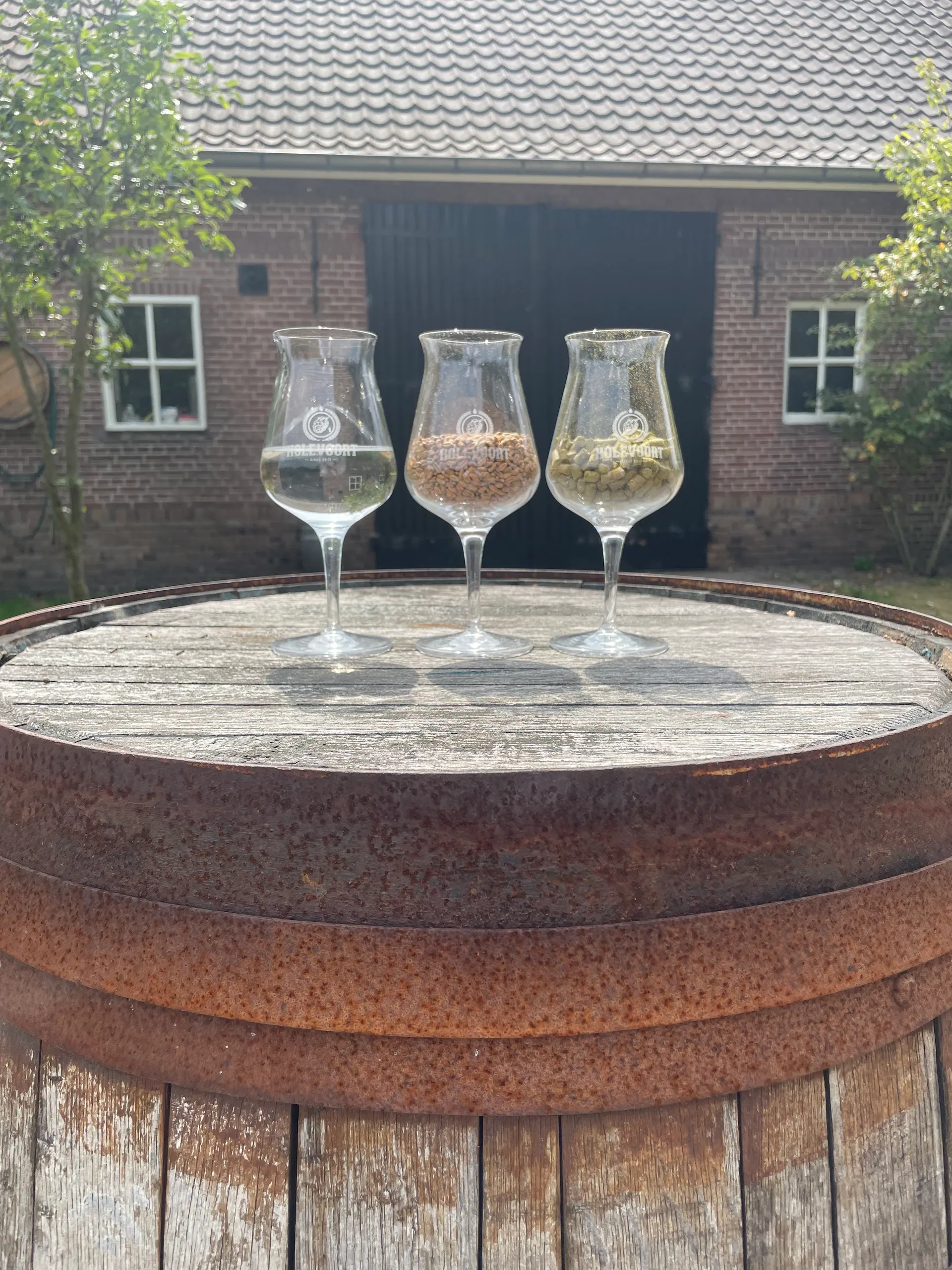 Cloudglow Brewing-sfeerafbeelding-hoppen-en-gist